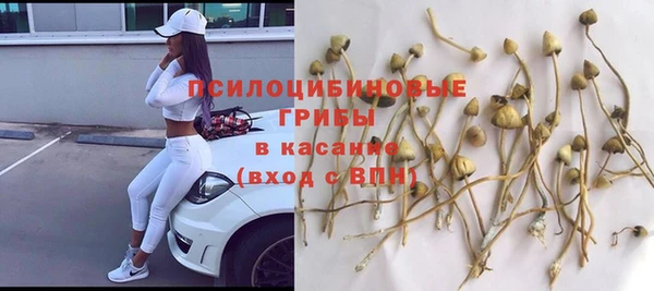 ГАЛЛЮЦИНОГЕННЫЕ ГРИБЫ Касимов