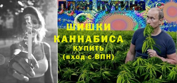 ГАЛЛЮЦИНОГЕННЫЕ ГРИБЫ Касимов