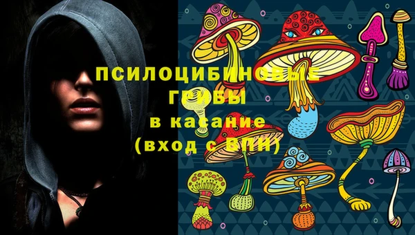 ГАЛЛЮЦИНОГЕННЫЕ ГРИБЫ Касимов