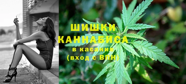 ГАЛЛЮЦИНОГЕННЫЕ ГРИБЫ Касимов