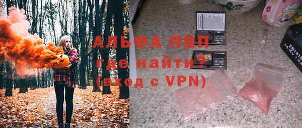 ГАЛЛЮЦИНОГЕННЫЕ ГРИБЫ Касимов