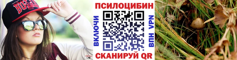 Псилоцибиновые грибы ЛСД  Купить закладки  Могоча 